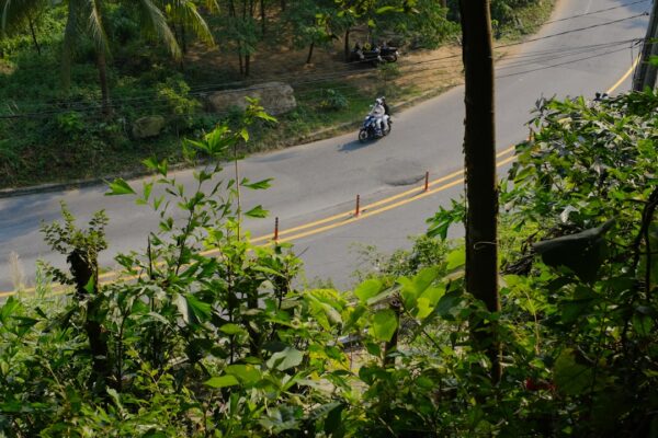 The Ultimate Guide to Affordable Motorcycles: Get on Two Wheels for Less