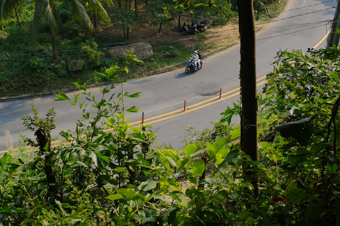 The Ultimate Guide to Affordable Motorcycles: Get on Two Wheels for Less