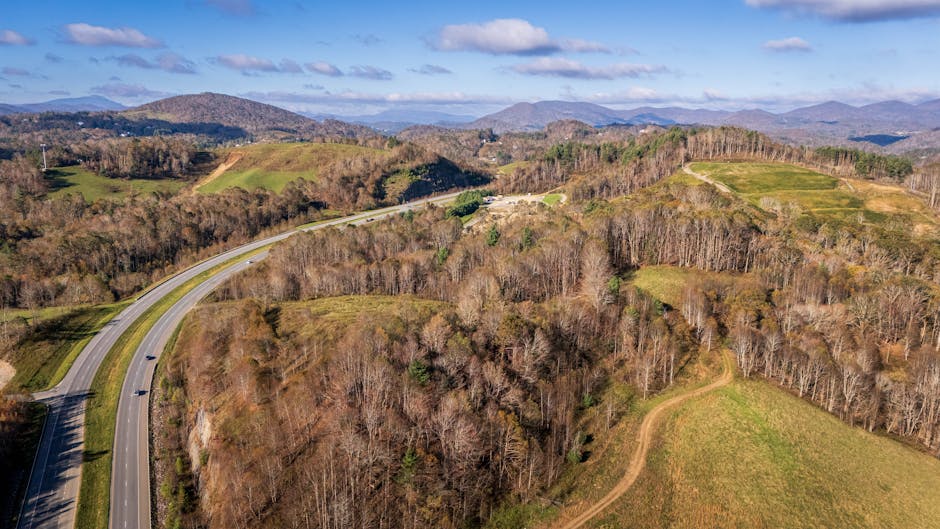 North Carolina Auto Insurance: Companies, Discounts, and the Cheapest Rates