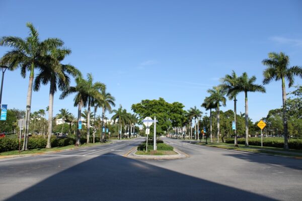 Orlando Auto Insurance: Don’t Pay More Than You Have To!