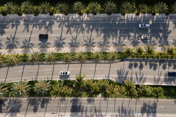 Ready to Roll? Find Your Affordable Florida Auto Insurance Quote