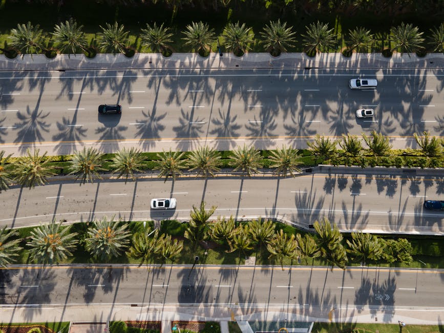 Ready to Roll? Find Your Affordable Florida Auto Insurance Quote